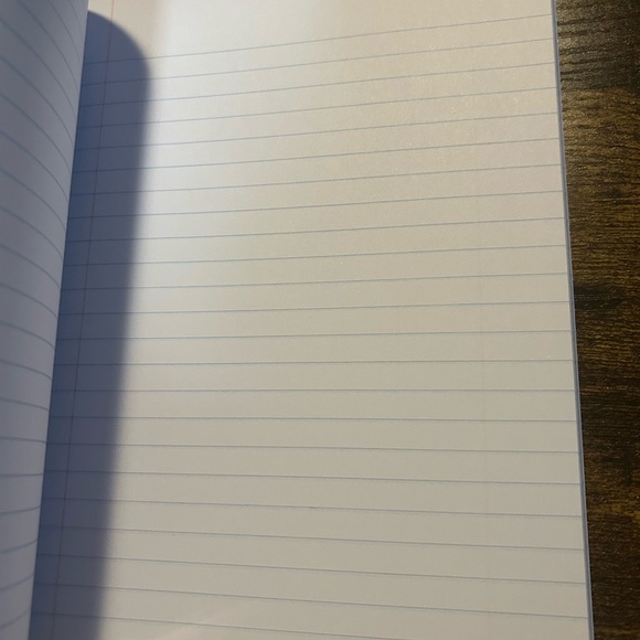 Bluey and Bingo Themed Compositions Notebook - Picture 4 of 4